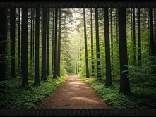 How Does Aura Cleansing Contribute to Spiritual Balance?