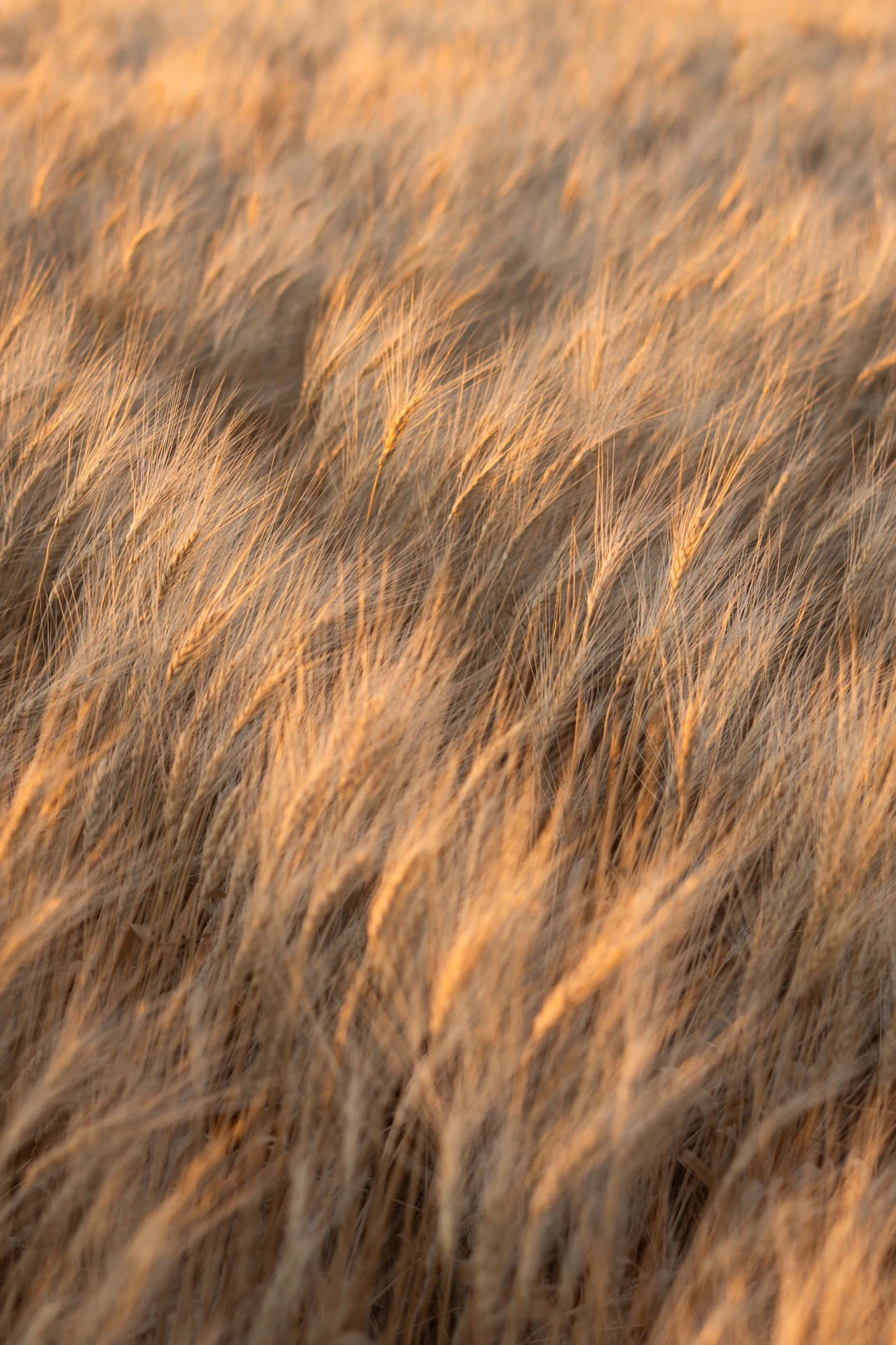 Perfecting Your Look: A Comprehensive Guide to Matching Hair Extensions to Your Natural Hair Color