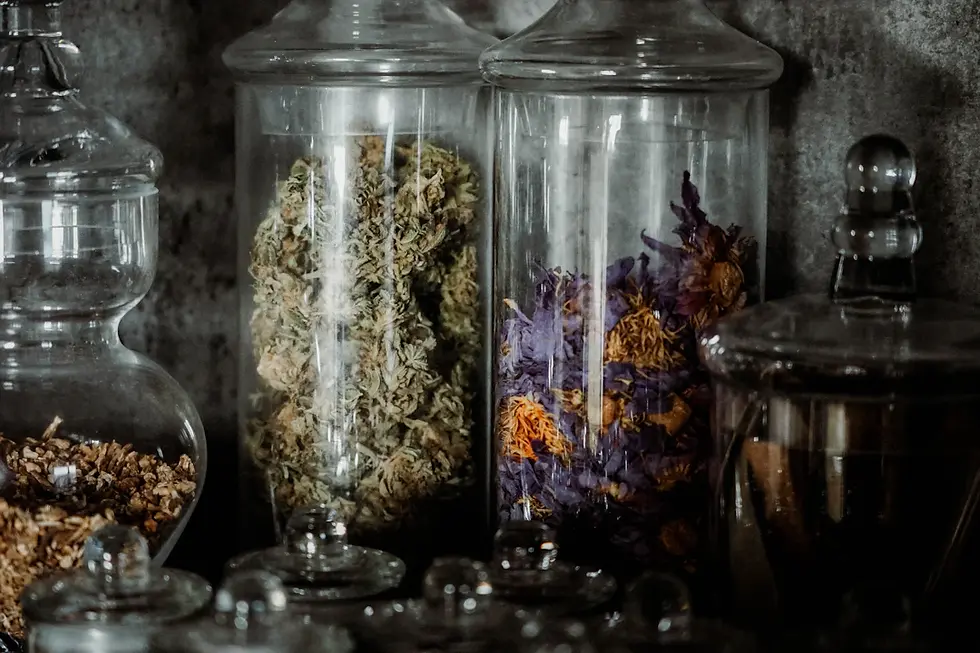 Mastering the Art of Cannabis Storage and Usage: Your Essential Guide