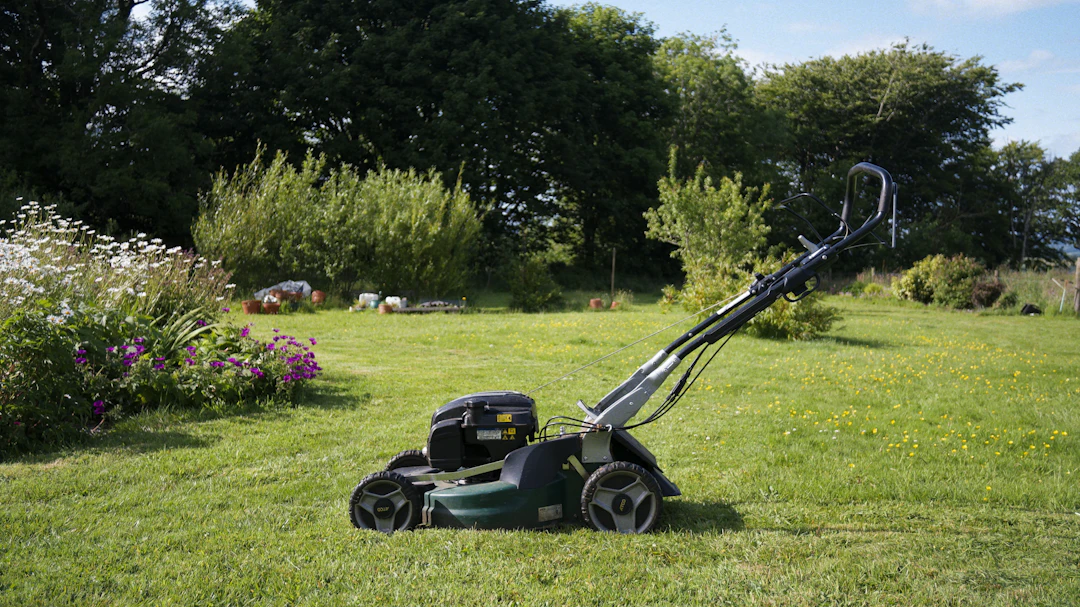 Understanding Lawn Care Costs: Budgeting Tips for Your Green Oasis