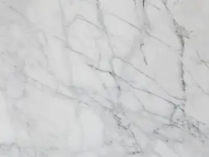 15 Best Quartz Seattle Countertop Color Trends You Need to Know in 2023