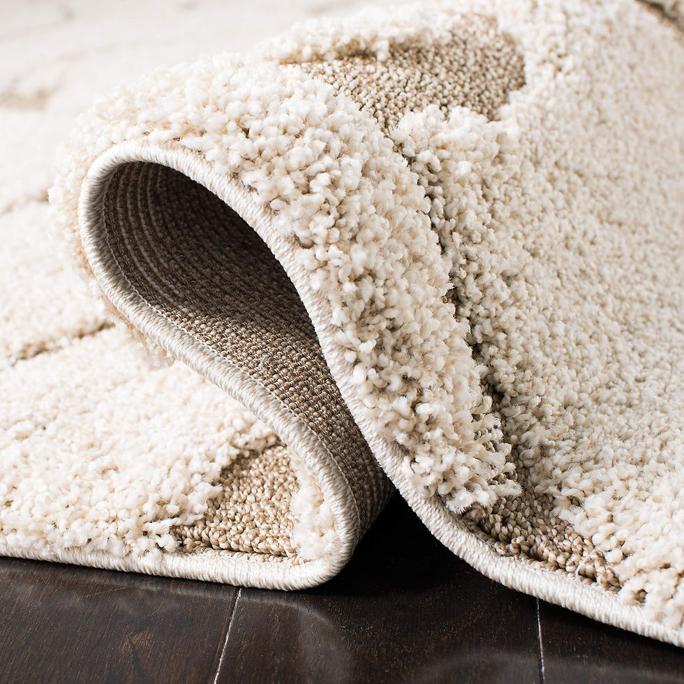 Thumbnail: SAFAVIEH Area Rug 8x10 - Florida Shag Collection - Large - Cream & Beige, Scr...