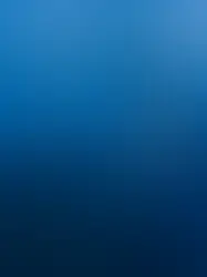 10 Reasons Why the Best Snorkeling in Kona Will Amaze You