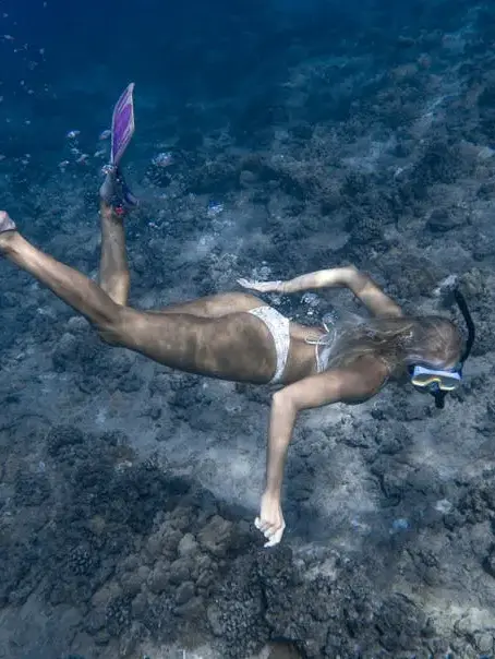 Are Underwater Naturalist Dives Suitable for Beginners?