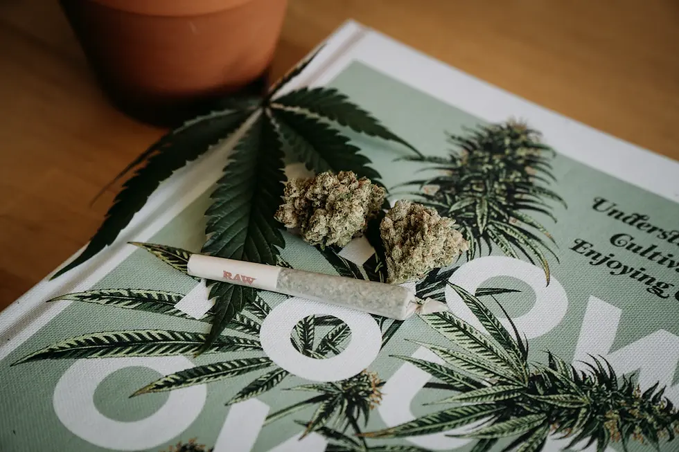 Unlocking Clarity: Your Essential FAQs About Document Legalization