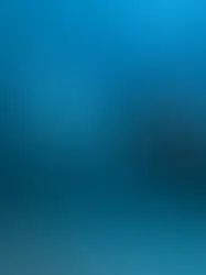 What Makes Manta Ray Dives in Hawaii Unique?