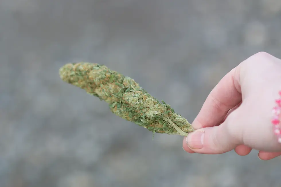 The Fascinating Journey of Cannabis in Medicine: A Historic Perspective