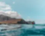 ree