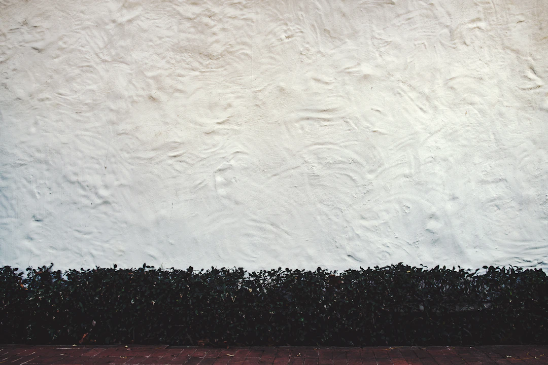 The Essential Guide to Wall Priming: Elevate Your Painting Projects