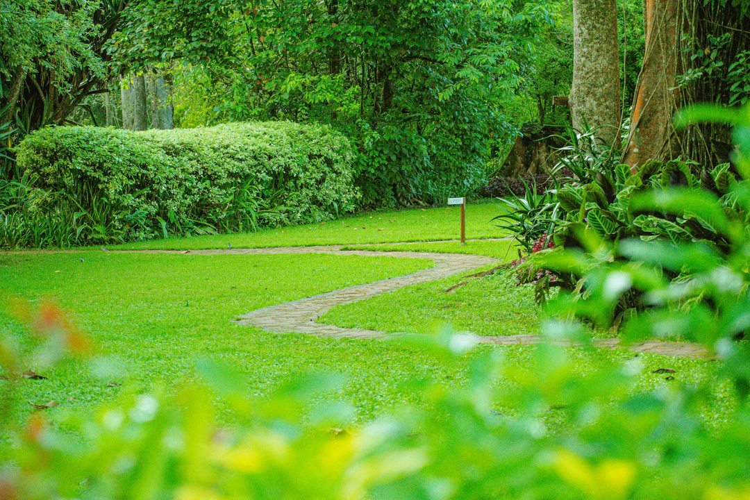 Greener Grass, Happier Earth: Choosing Eco-Friendly Lawn Care Practices