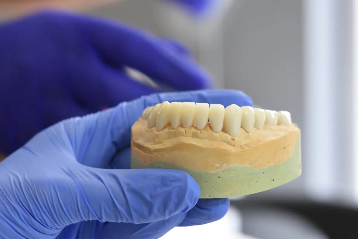 Rams Dental World