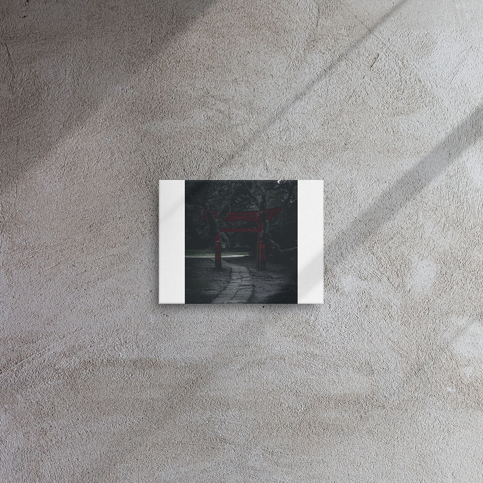 Thumbnail: Thin canvas