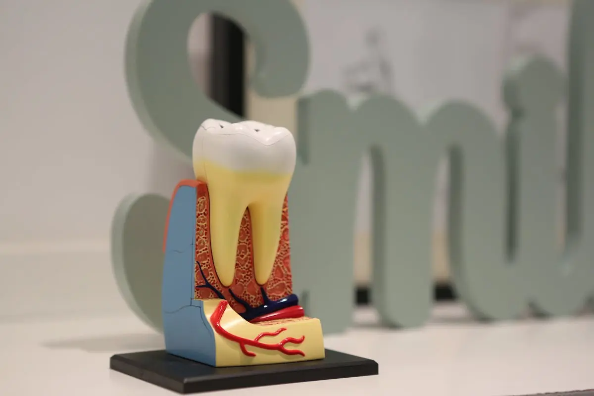 Rams Dental World