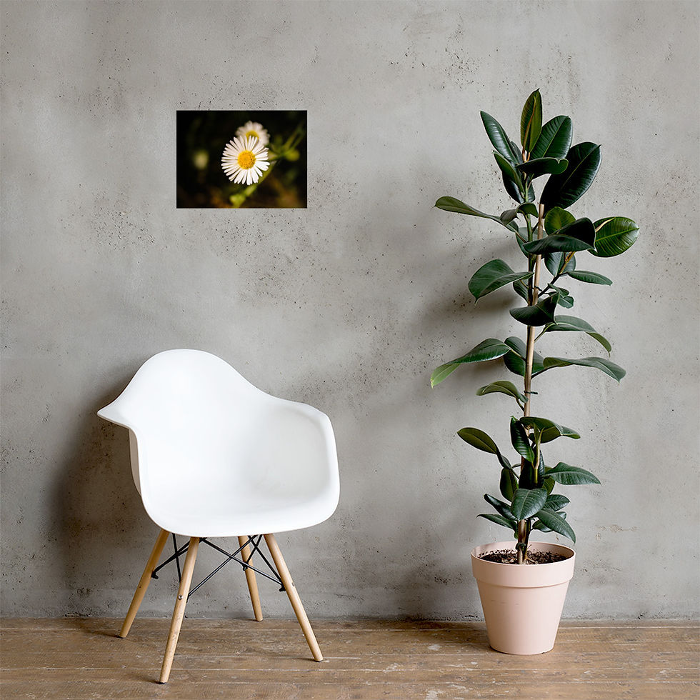 Thumbnail: Daisy Print