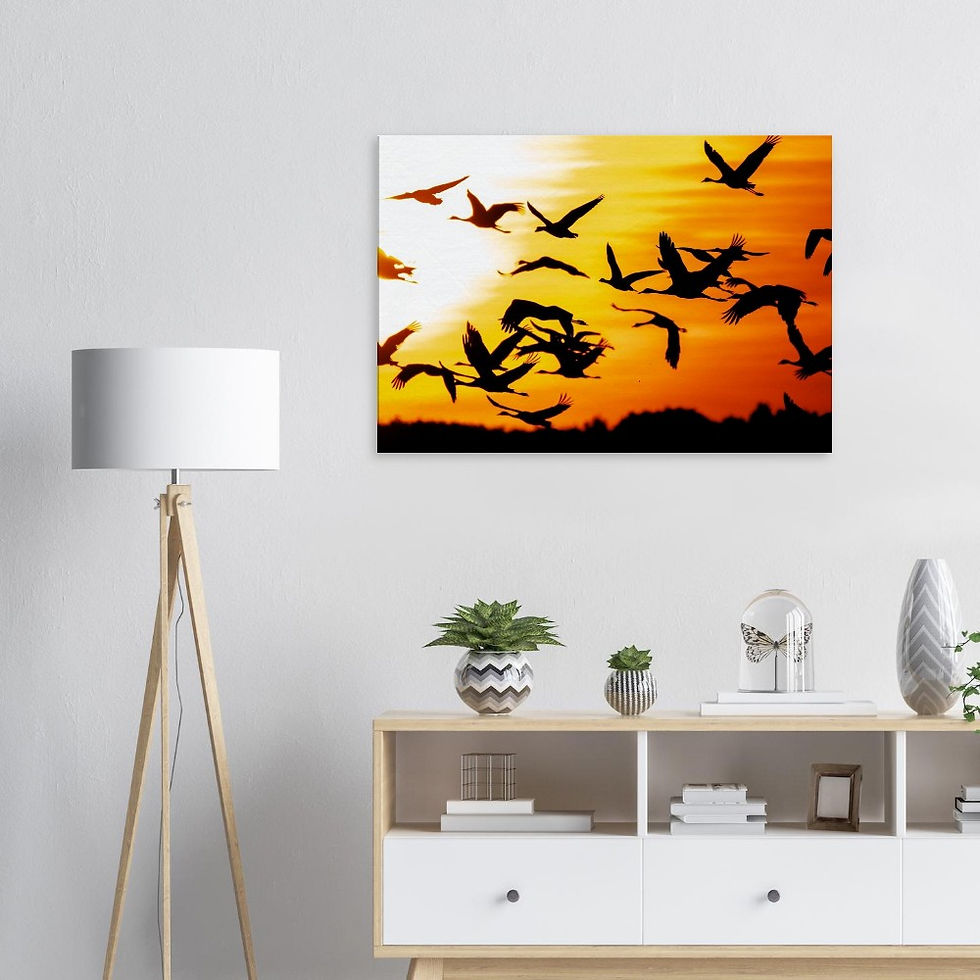 Miniaturbild: Kraniche Sonnenuntergang // Leinwand