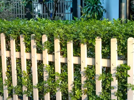 10 Design Ideas to Enhance Your Central Arkansas Garden with a Picket Fence