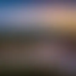 A Guide to Tasty Pizza Places When Staying in Big Bear