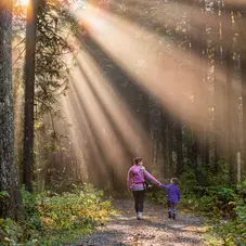 Discover the Wonders of Nature Walks for Your Family's Health