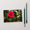 Thumbnail: Camellia Postcard