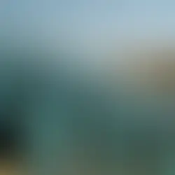 Kurdish Urban Development and Architecture: A Reflection of History and Culture