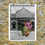 Thumbnail: Teddy Robber Print 