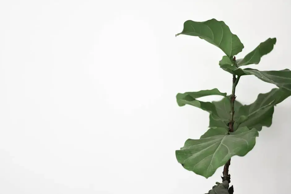 Improving Indoor Climate with Efficient Air Quality Solutions