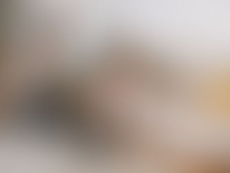 How Do Dallas Pet-Friendly Apartments Accommodate Your Furry Friends?