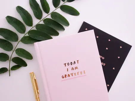 The Transformative Power of Gratitude in Your Manifestation Journey