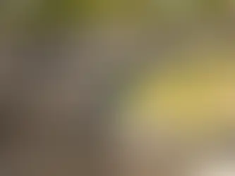 The Impact of Ancient Civilizations on the Foundation of Knowledge