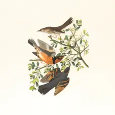 Behind the Scenes: How AI Models Learn to Create Art