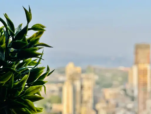 Unlocking Business Success: The Essential Guide to Legalization for Business Documents