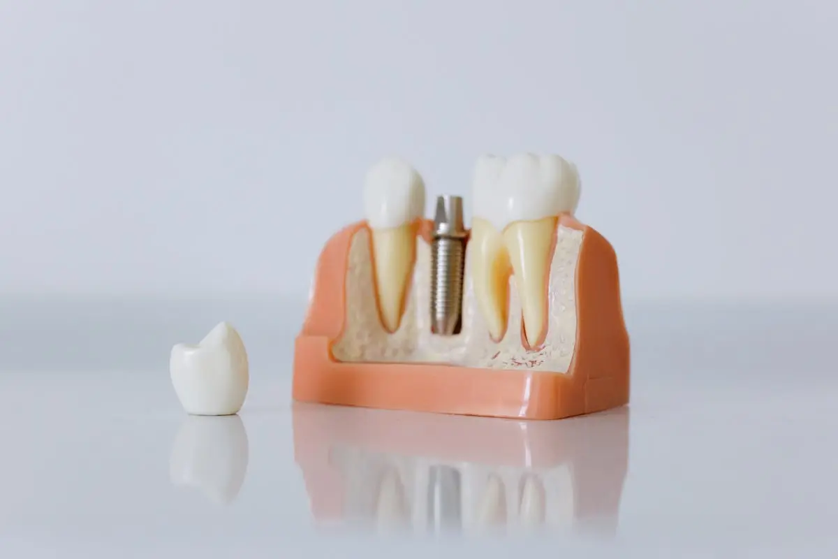 Rams Dental World