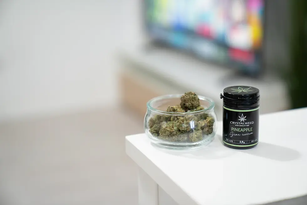 Exploring the Future: Cannabis and Health Care Solutions That Could Change Everything