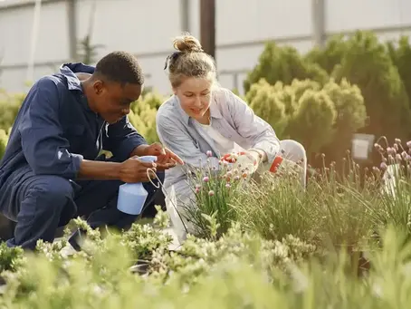 The Role of Seasonal Changes in Landscape Management