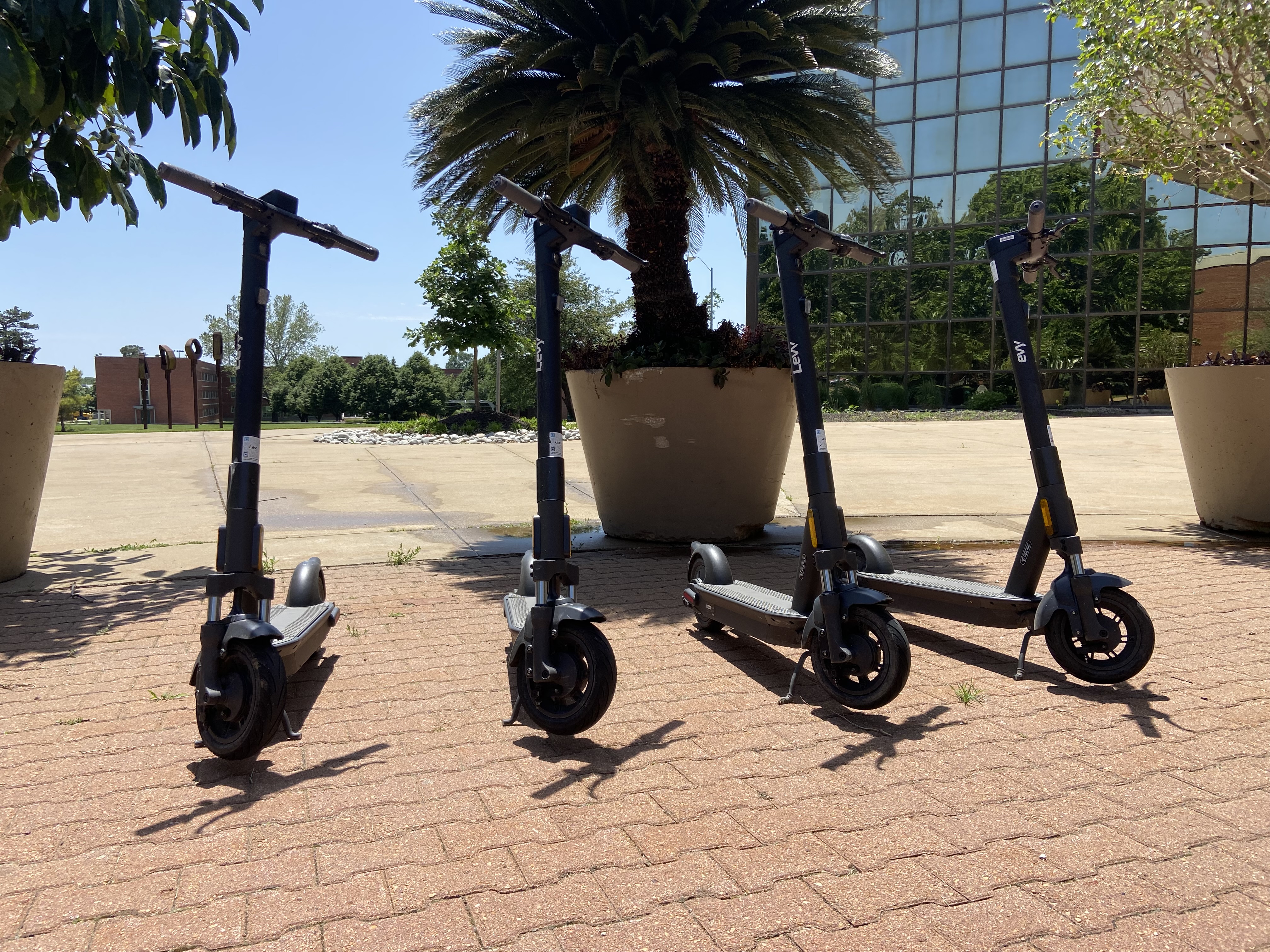 Electric scooter rentals are available on the Levy Electric app in Maryville, MO starting at $18 per hour.  No reservation needed!