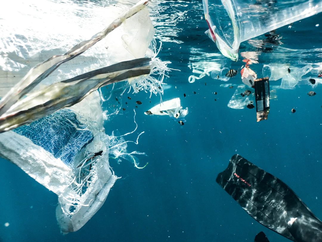 The Unseen Enemy: Understanding the Impact of Plastic on Our Environment