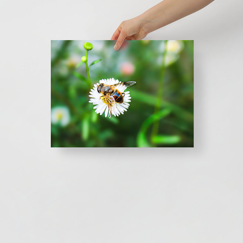 Thumbnail: Beautiful Bee Print