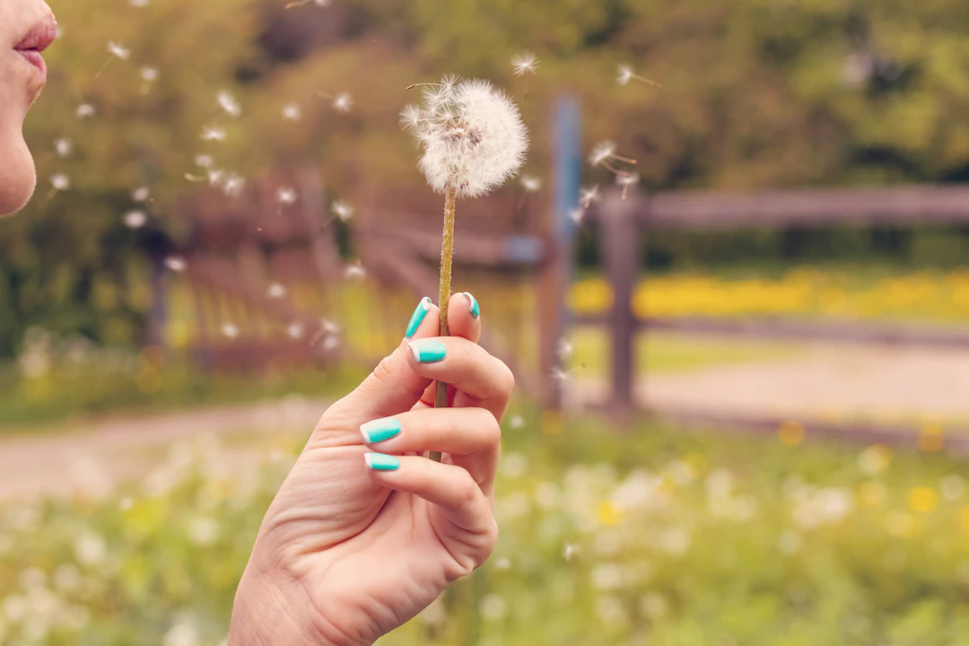 Mastering Hay Fever: Your Essential Guide to Identifying and Avoiding Triggers