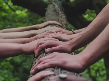 Creating a Powerful Manifestation Community: Unlocking Support and Accountability