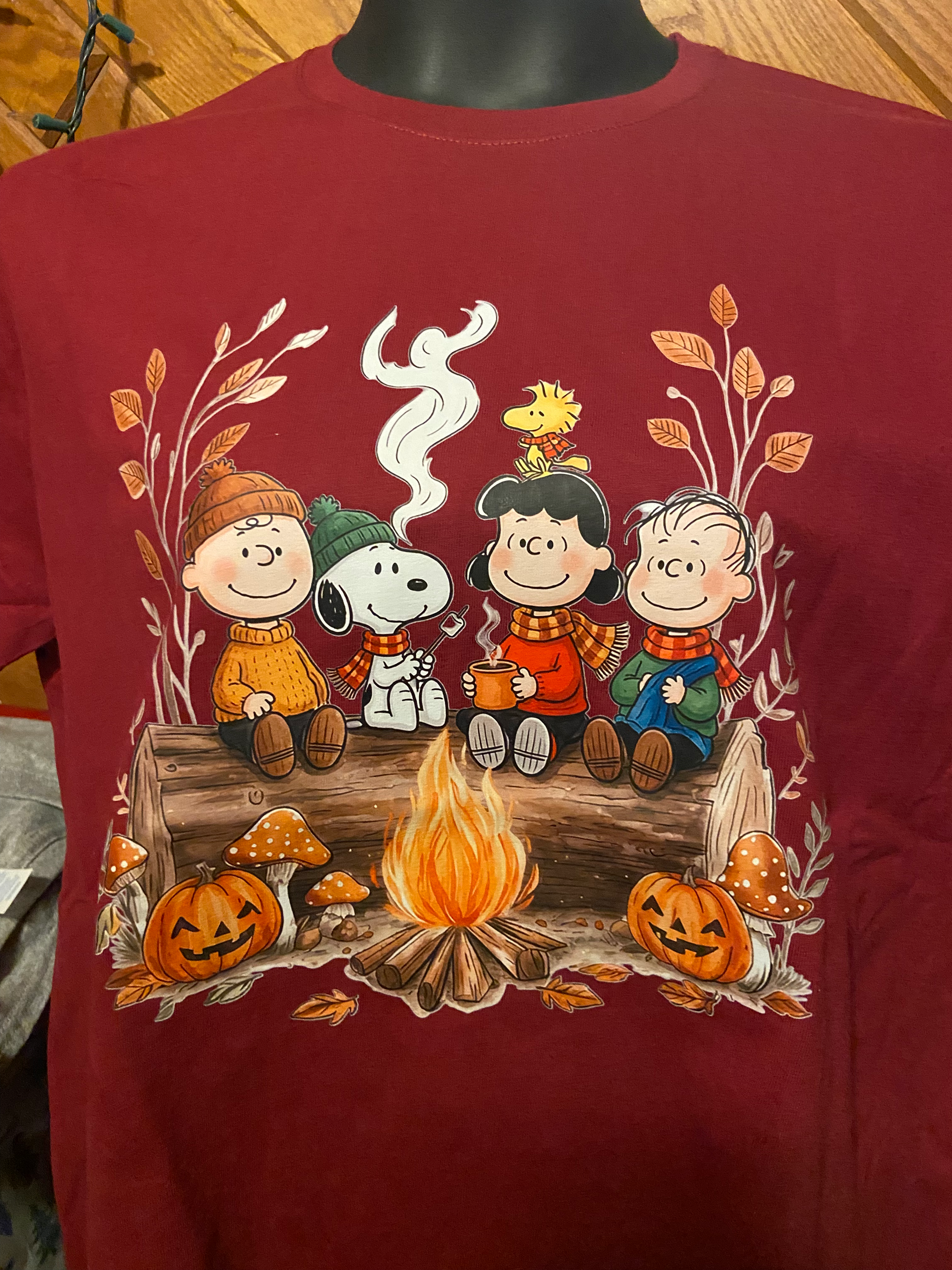 Charlie Brown & Snoopy Fall