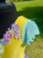 Chiffon Sleeves