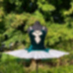 Senior Boned and Hooped Velvet Tutu