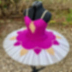 Senior Silk Tutu with Plate