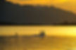 male-riding-a-wakeboard-at-sunset-2023-11-27-04-55-41-utc.jpeg