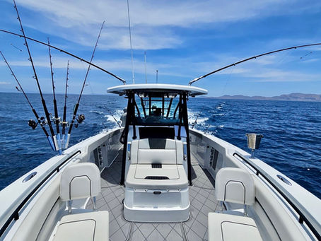Habibi Tuna: Sport fishing in the Sea of Cortez Like Never Before