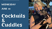 FB Cocktails & Cuddles.png
