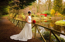 wedding photographer galway