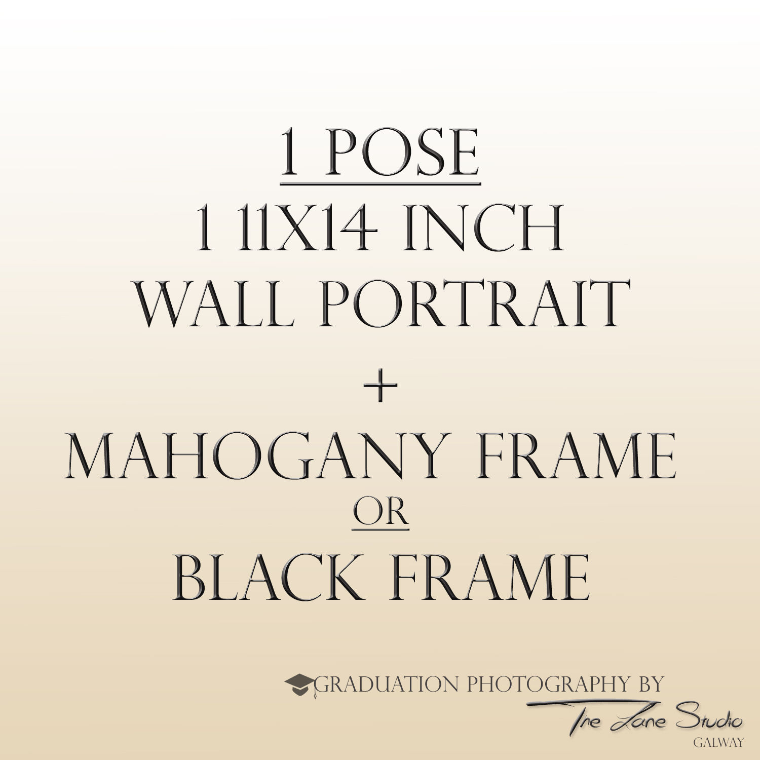 1 Pose - 11x14 Wall Portrait