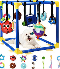 Bluegym.jpg
