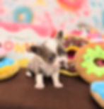 20260111_134925(0)~2